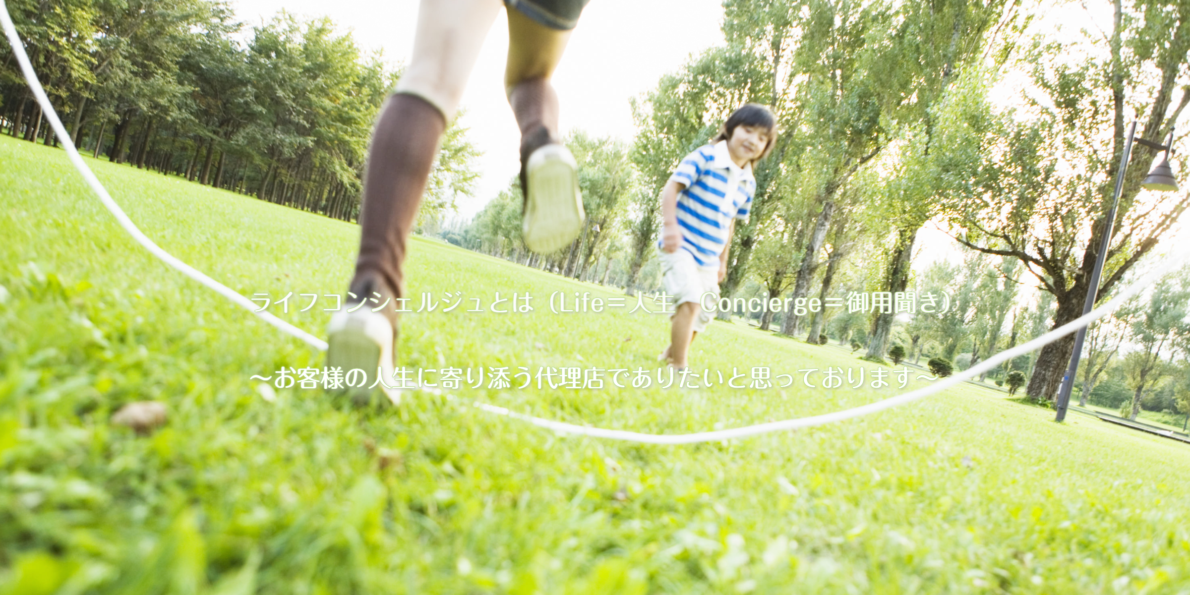 - 選択なし -